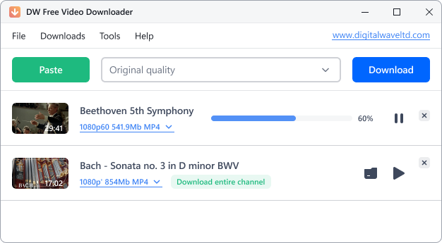 DW Free TikTok Downloader interface downloading TikTok videos.